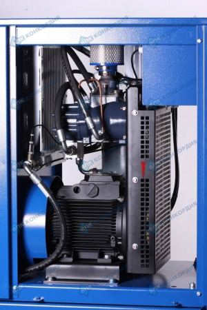Винтовой компрессор Remeza ВК10Е-8-500Д фото